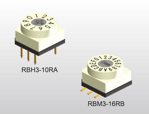 RB 系列   ROTARY CODED SWITCH